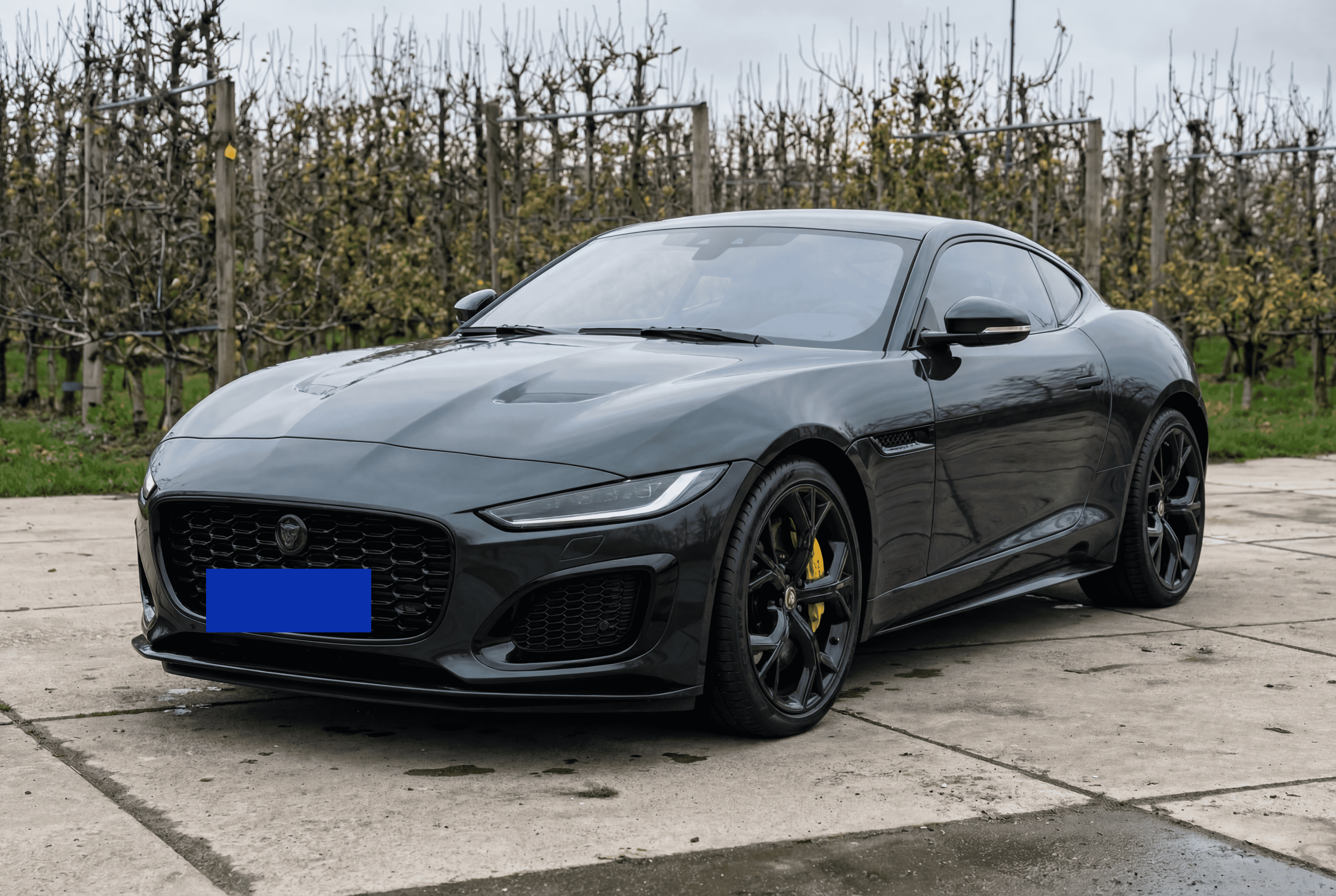 Premium car detailing